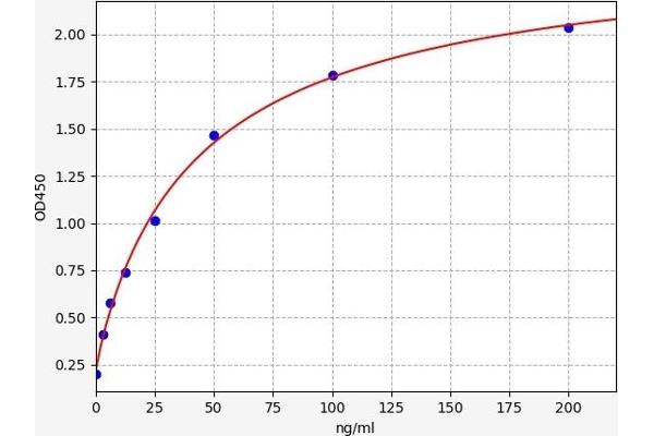 ALPL ELISA Kit