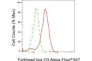 Flow cytometric analysis of Forkhead box O3 expression in HepG2 cells using Forkhead box O3 antibody (ABIN7798646), 1:2,000).