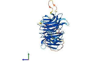 Protein Structure (PS) image for Nucleoporin 43kDa (NUP43) (AA 1-380) protein (His tag) (ABIN7550276)