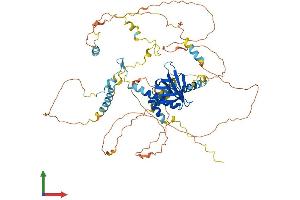 AlphaFold protein structure predicition of Human Recombinant NUMB Protein, UniprotID P49757
