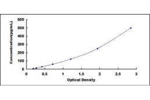 ELISA image for Tumor Necrosis Factor alpha (TNF alpha) ELISA Kit (ABIN415314)