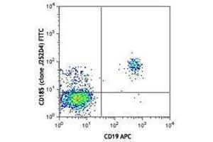 Flow Cytometry (FACS) image for anti-Chemokine (C-X-C Motif) Receptor 5 (CXCR5) antibody (FITC) (ABIN2661365) (CXCR5 Antikörper  (FITC))