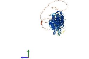 Protein Structure (PS) image for Tumor Necrosis Factor, alpha-Induced Protein 2 (TNFAIP2) (AA 1-691) protein (His tag) (ABIN7557694)