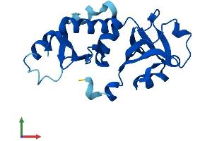 Protein Structure (PS) image for Nuclear Import 7 Homolog (NIP7) (AA 1-180) protein (His tag) (ABIN7549759)