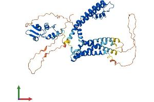 Protein Structure (PS) image for Potassium Voltage-Gated Channel, Shaker-Related Subfamily, Member 6 (KCNA6) (AA 1-529) protein (His tag) (ABIN7563933)