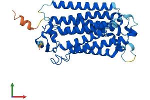 AlphaFold protein structure predicition of Mouse Recombinant Paqr6 Protein, UniprotID Q6TCG5 (PAQR6 Protein (AA 1-343) (His tag))