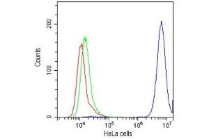 Flow cytometry testing of human HeLa cells with CD147 antibody at 1ug/10^6 cells (cells blocked with goat sera) (CD147 Antikörper)