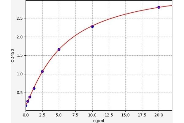 Cnpase ELISA Kit