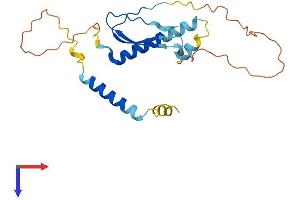 AKIP1 Protein (AA 1-210) (His tag)