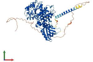 Protein Structure (PS) image for Myotubularin Related Protein 7 (MTMR7) (AA 1-660) protein (His tag) (ABIN7549600)