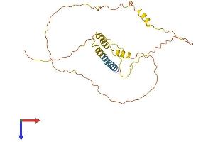 SYNDIG1 Protein (AA 1-258) (His tag)