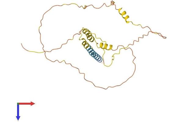 SYNDIG1 Protein (AA 1-258) (His tag)