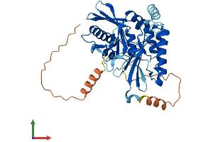 Protein Structure (PS) image for Phosphatidylinositol-4-Phosphate 5-Kinase-Like 1 (PIP5KL1) (AA 1-395) protein (His tag) (ABIN7558113)