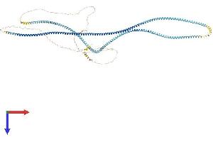 SYCP1 Protein (AA 1-976) (His tag)