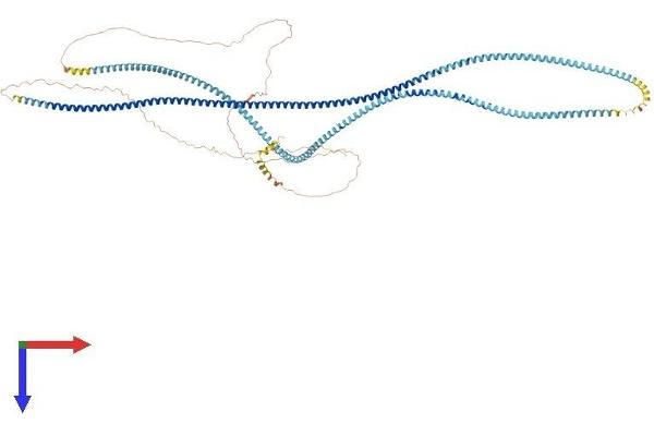 SYCP1 Protein (AA 1-976) (His tag)