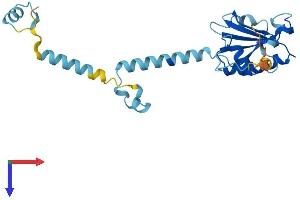 PDCL3 Protein (AA 1-240) (His tag)