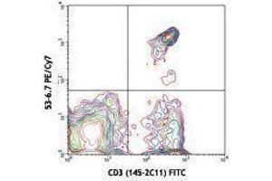 Flow Cytometry (FACS) image for anti-CD8a Molecule (CD8A) antibody (PE-Cy7) (ABIN2659625) (CD8 alpha Antikörper  (PE-Cy7))