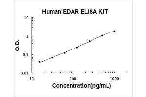 Ectodysplasin A Receptor (EDAR) ELISA Kit