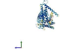 Protein Structure (PS) image for Limb Region 1 Homolog (LMBR1) (AA 1-490) protein (His tag) (ABIN7549074)