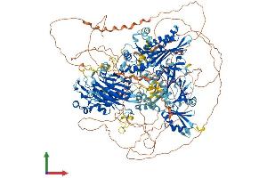 Protein Structure (PS) image for Synaptojanin 1 (SYNJ1) (AA 1-1574) protein (His tag) (ABIN7564580)