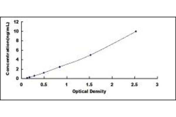 MDM2 ELISA Kit