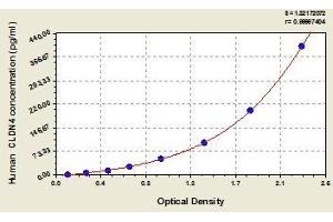 Typical standard curve (Claudin 4 ELISA Kit)