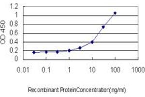 ELISA image for anti-serum/glucocorticoid Regulated Kinase 1 (SGK1) (AA 1-432) antibody (ABIN598922) (SGK1 Antikörper  (AA 1-432))