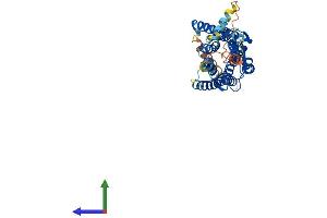 Protein Structure (PS) image for Neuropeptide Y Receptor Y1 (NPY1R) (AA 1-384) protein (His tag) (ABIN7549902)