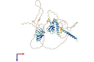 RNF180 Protein (AA 1-592) (His tag)