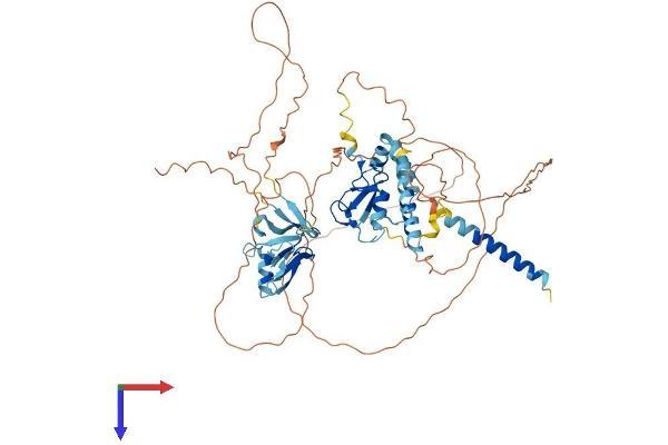 RNF180 Protein (AA 1-592) (His tag)