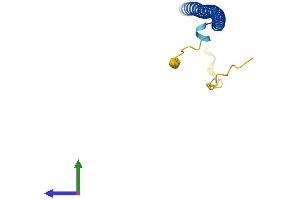Protein Structure (PS) image for Basic Leucine Zipper Transcriptional Factor ATF-Like 3 (BATF3) (AA 1-127) protein (His tag) (ABIN7552726)