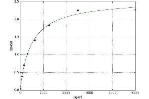 Chemokine (C-C Motif) Ligand 16 (CCL16) ELISA Kit