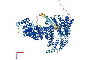 NARG1L Protein (AA 1-864) (His tag)