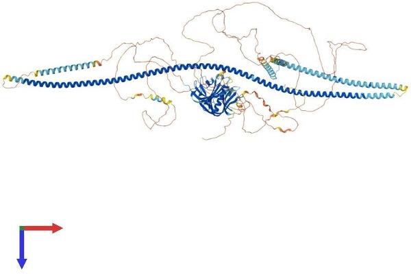 FKBP15 Protein (AA 1-1219) (His tag)