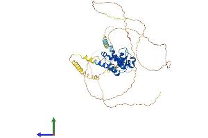 AlphaFold protein structure predicition of Mouse Recombinant Psip1 Protein, UniprotID Q99JF8