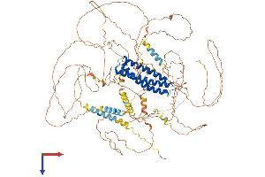 DLGAP1 Protein (AA 1-977) (His tag)
