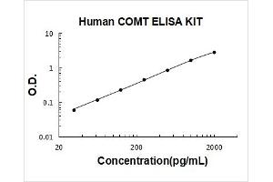 Human COMT PicoKine ELISA Kit standard curve