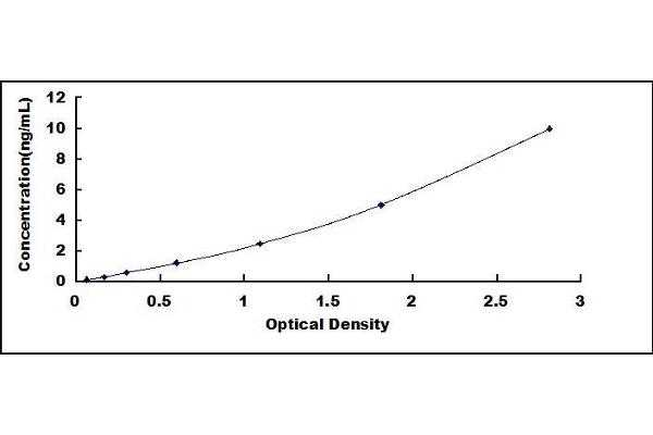 LGALS8 ELISA Kit