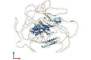 AlphaFold protein structure predicition of Mouse Recombinant Kif24 Protein, UniprotID Q6NWW5