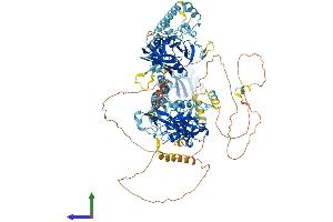 Protein Structure (PS) image for serologically Defined Colon Cancer Antigen 1 (SDCCAG1) (AA 1-1076) protein (His tag) (ABIN7554724)