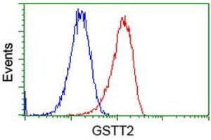 Flow cytometric Analysis of Hela cells, using anti-GSTT2 antibody (ABIN2453096), (Red), compared to a nonspecific negative control antibody (TA50011), (Blue). (GSTT2 Antikörper)