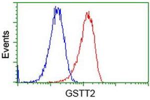 Flow cytometric Analysis of Hela cells, using anti-GSTT2 antibody (ABIN2453096), (Red), compared to a nonspecific negative control antibody (TA50011), (Blue). (GSTT2 Antikörper)
