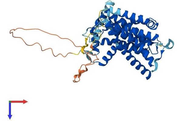 SGPP1 Protein (AA 1-430) (His tag)