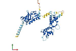 Protein Structure (PS) image for Oligonucleotide/oligosaccharide-Binding Fold Containing 1 (OBFC1) (AA 1-368) protein (His tag) (ABIN7555663)