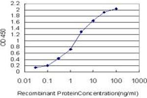 Detection limit for recombinant GST tagged BARX1 is approximately 0. (BARX1 Antikörper  (AA 1-100))