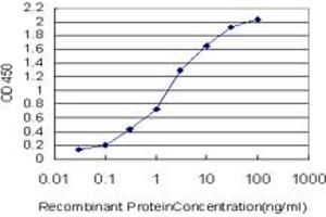 Detection limit for recombinant GST tagged BARX1 is approximately 0.