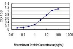 Detection limit for recombinant GST tagged ICOSLG is approximately 0. (ICOSLG Antikörper  (AA 20-302))