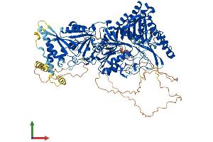 AlphaFold protein structure predicition of Mouse Recombinant Pld1 Protein, UniprotID Q9Z280