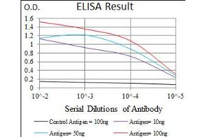 Image no. 3 for anti-BPI Fold Containing Family A, Member 2 (BPIFA2) antibody (ABIN1490989) (BPIFA2 Antikörper)