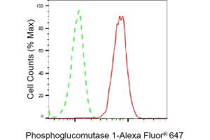 Flow cytometric analysis of Phosphoglucomutase 1 expression in HepG2 cells using Phosphoglucomutase 1 antibody (ABIN7799805), 1:2,000). (Rekombinanter Phosphoglucomutase 1 Antikörper)